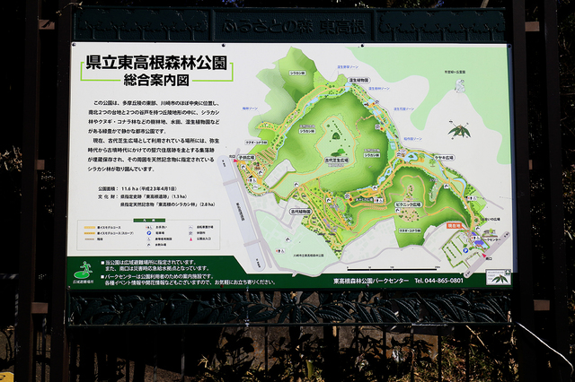 _MG_1174.JPG