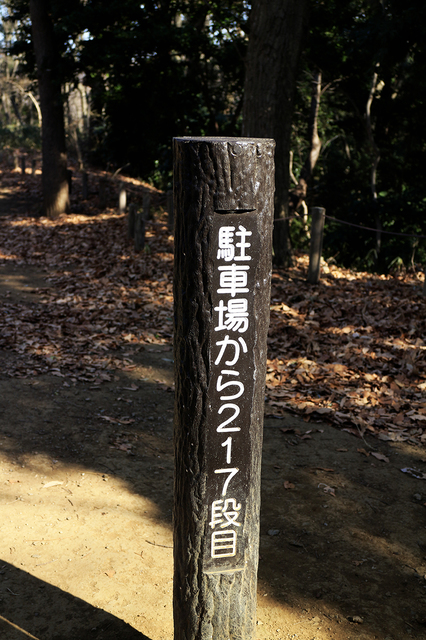 _MG_1171.JPG