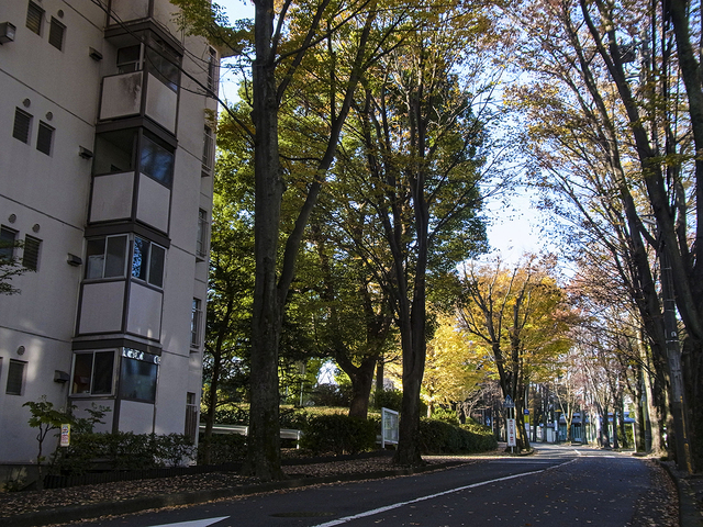 R0010690_2.jpg