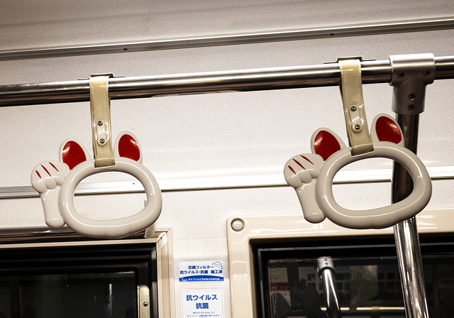 _R001566.jpg