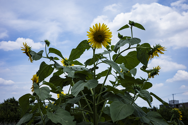 _R001597-2.jpg